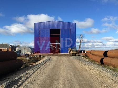 461.jpg